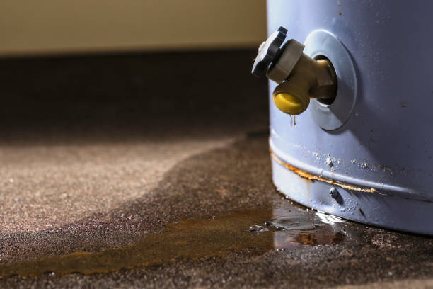 Best Ceiling water damage repair  in The Homesteads, TX