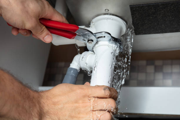 Best Local water damage restoration  in The Homesteads, TX