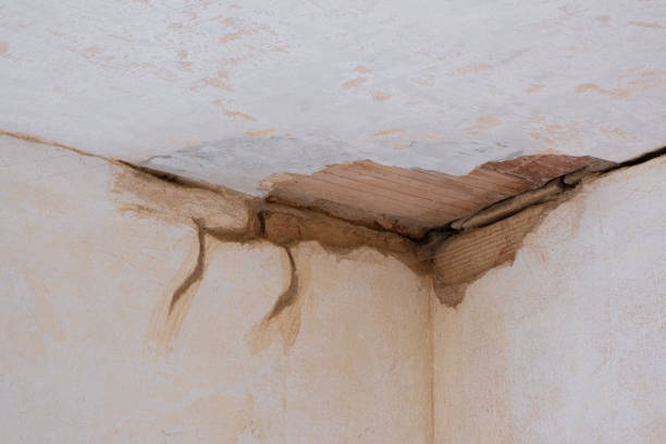 Best 24/7 water damage repair  in The Homesteads, TX