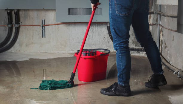 Best Emergency water damage restoration  in The Homesteads, TX