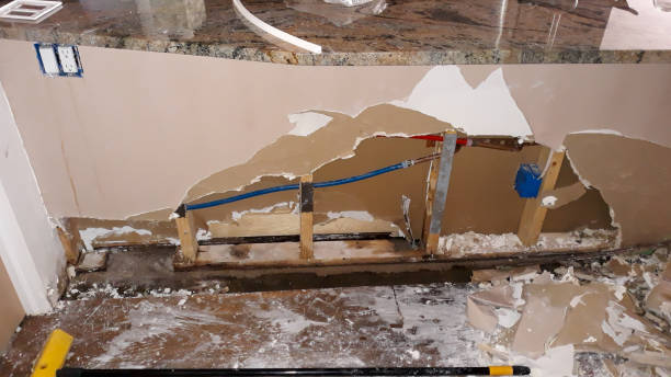 Best Commercial water damage restoration  in The Homesteads, TX