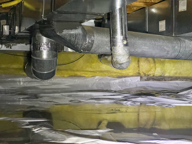 Best Basement water damage restoration  in The Homesteads, TX