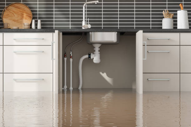 Best Carpet water damage restoration  in The Homesteads, TX
