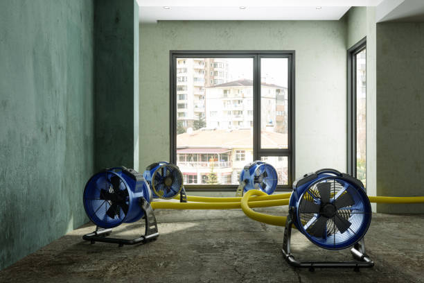 Best 24-hour water damage restoration  in The Homesteads, TX