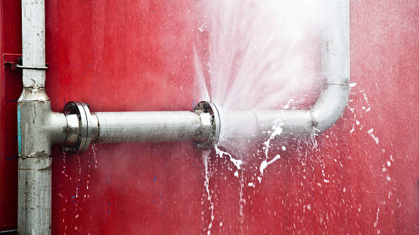Best Professional water damage repair  in The Homesteads, TX